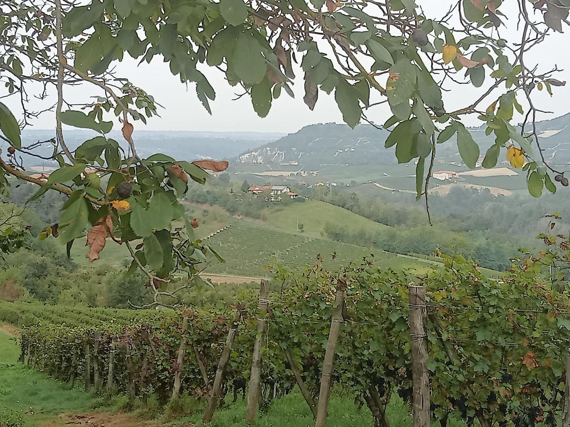 Agriturismo Bric Di Gai Monforte D'Alba Exterior photo